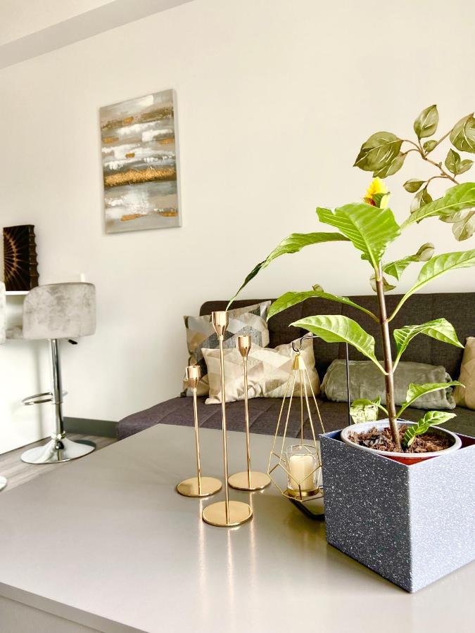 Comodo Y Elegante Apartamento En Fabuloso Condo! Сан Хосе Екстериор снимка
