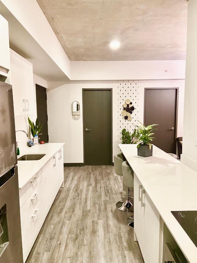 Comodo Y Elegante Apartamento En Fabuloso Condo! Сан Хосе Екстериор снимка